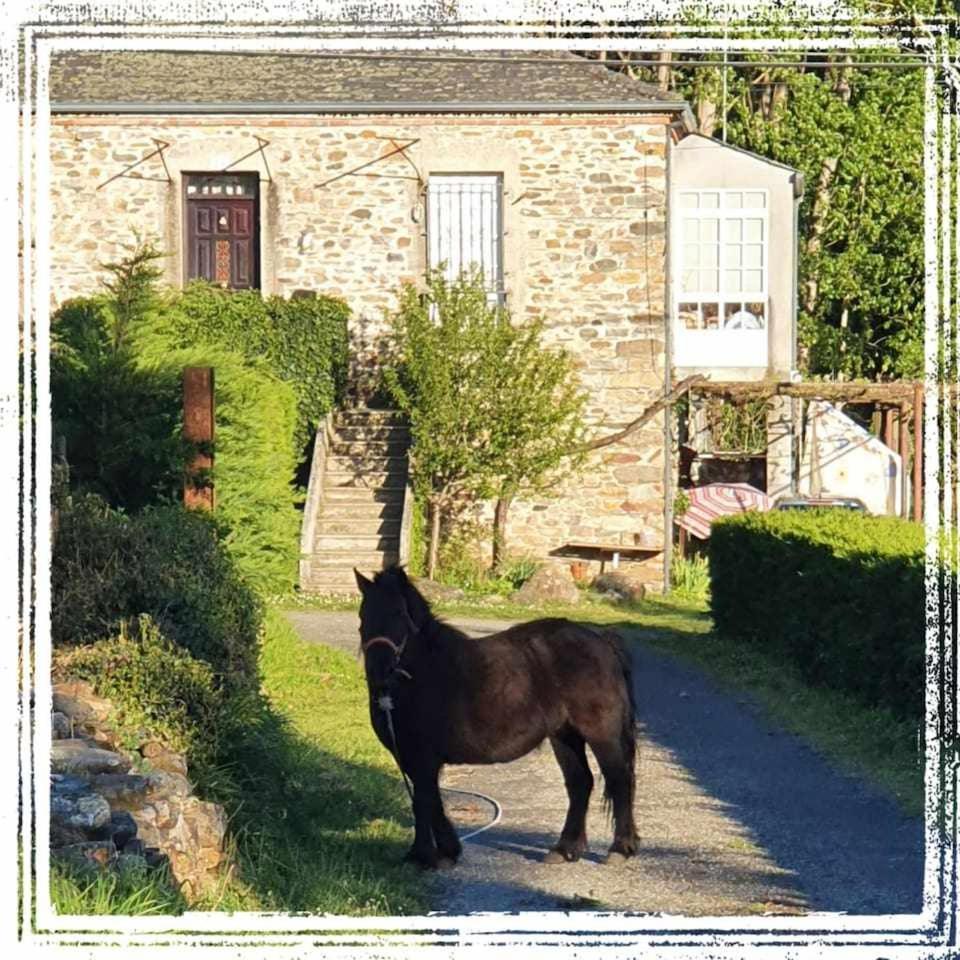 Casa Do Hiebra Alojamiento Rural Ribeira Sacra Castroncelos エクステリア 写真
