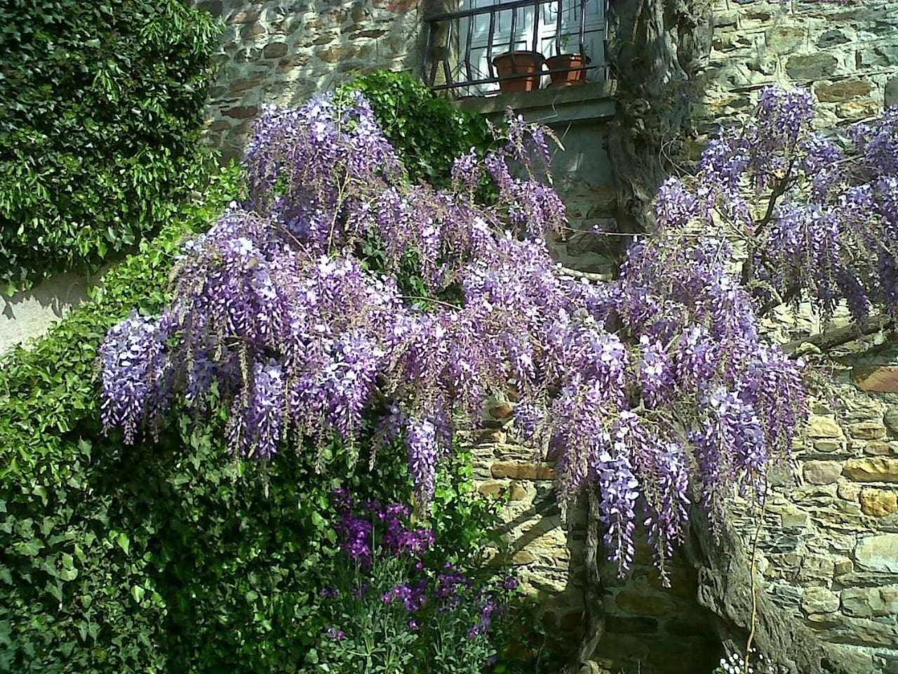Casa Do Hiebra Alojamiento Rural Ribeira Sacra Castroncelos エクステリア 写真